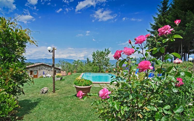 Agriturismo Summer Gallicano Bagian luar foto